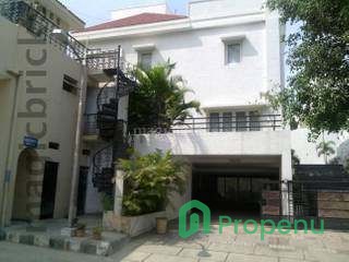 1 BHK apartment for Rent in Madhapur, Hyderabad