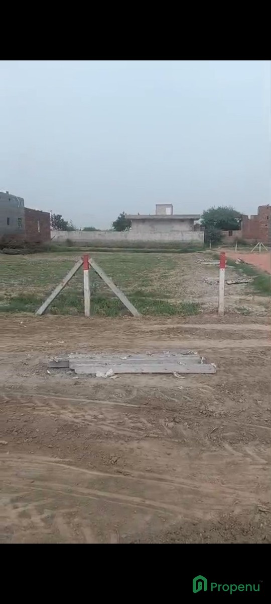 1000178449.jpg