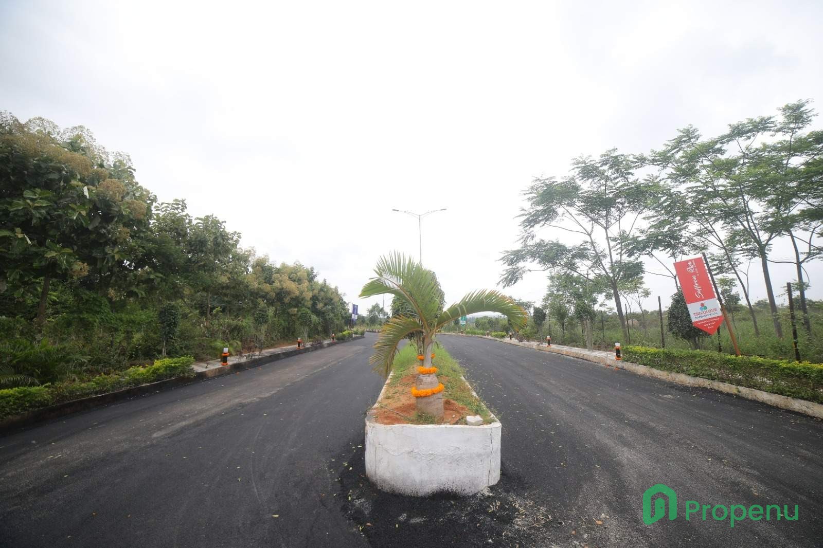 Saffron Rise Kamsanpally.jpg