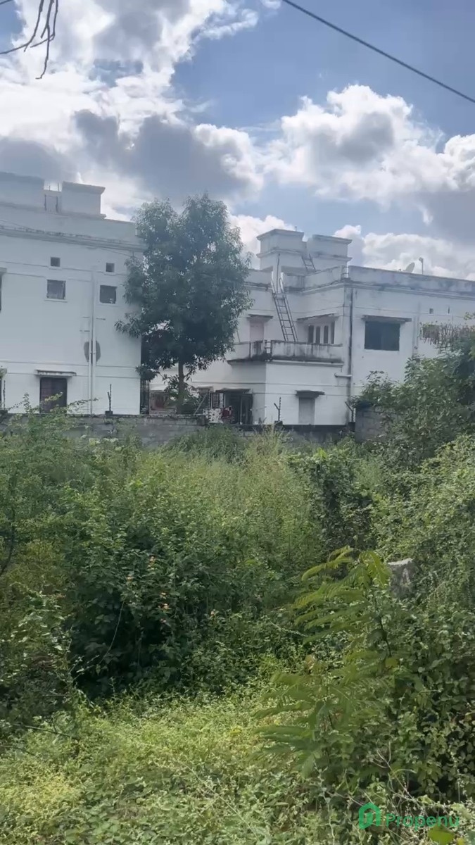 property_1.jpg